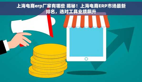 上海电商erp厂家有哪些 揭秘！上海电商ERP市场最新排名，选对工具业绩飙升