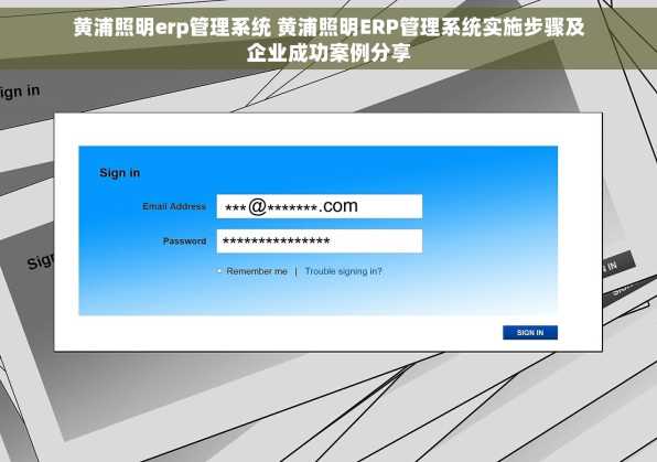 黄浦照明erp管理系统 黄浦照明ERP管理系统实施步骤及企业成功案例分享