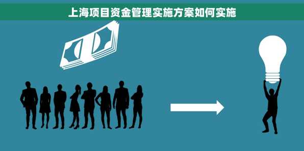 上海项目资金管理实施方案如何实施