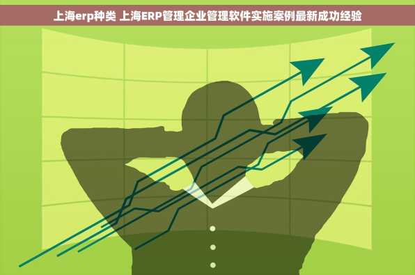 上海erp种类 上海ERP管理企业管理软件实施案例最新成功经验