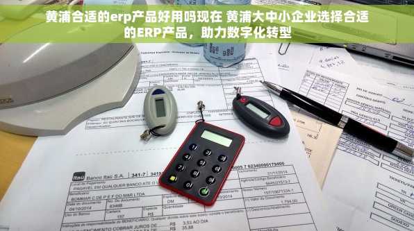 黄浦合适的erp产品好用吗现在 黄浦大中小企业选择合适的ERP产品，助力数字化转型