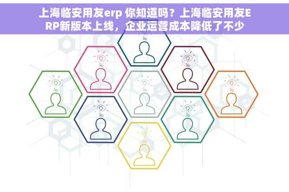 上海临安用友erp 你知道吗？上海临安用友ERP新版本上线，企业运营成本降低了不少