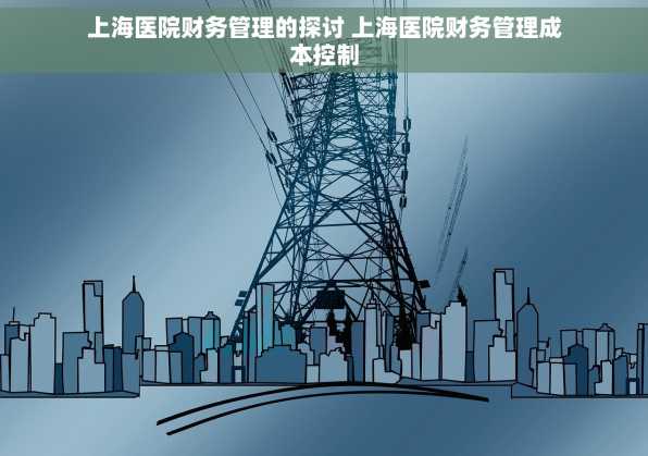上海医院财务管理的探讨 上海医院财务管理成本控制