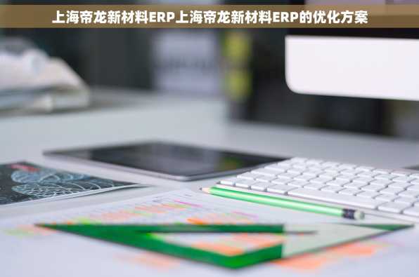 上海帝龙新材料ERP上海帝龙新材料ERP的优化方案