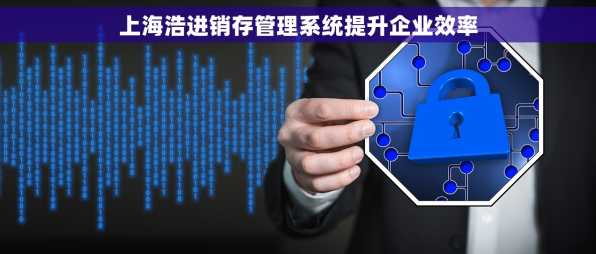 上海浩进销存管理系统提升企业效率