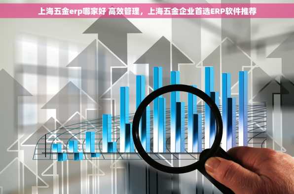 上海五金erp哪家好 高效管理，上海五金企业首选ERP软件推荐
