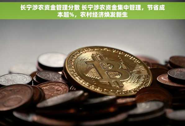 长宁涉农资金管理分散 长宁涉农资金集中管理，节省成本超%，农村经济焕发新生