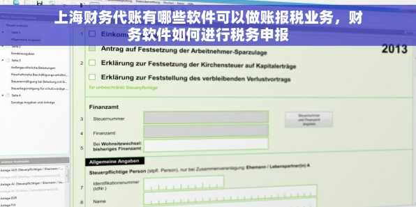 上海财务代账有哪些软件可以做账报税业务，财务软件如何进行税务申报