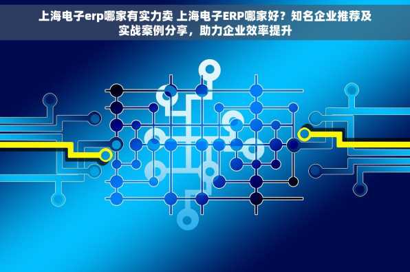 上海电子erp哪家有实力卖 上海电子ERP哪家好？知名企业推荐及实战案例分享，助力企业效率提升