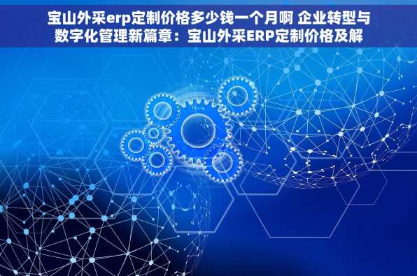 宝山外采erp定制价格多少钱一个月啊 企业转型与数字化管理新篇章：宝山外采ERP定制价格及解决方案
