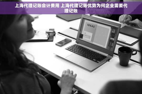 上海代理记账会计费用 上海代理记账优势为何企业需要代理记账