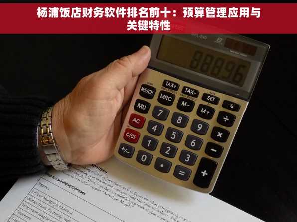 杨浦饭店财务软件排名前十：预算管理应用与关键特性