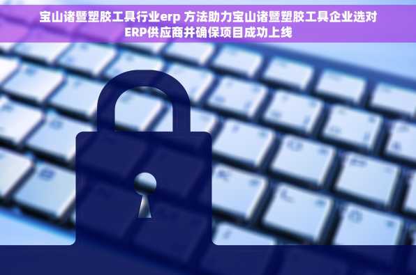 宝山诸暨塑胶工具行业erp 方法助力宝山诸暨塑胶工具企业选对ERP供应商并确保项目成功上线