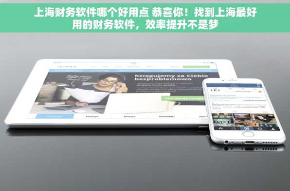 上海财务软件哪个好用点 恭喜你！找到上海最好用的财务软件，效率提升不是梦