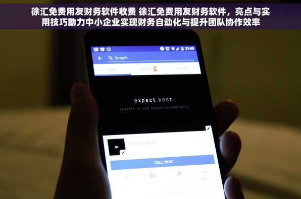 徐汇免费用友财务软件收费 徐汇免费用友财务软件，亮点与实用技巧助力中小企业实现财务自动化与提升团队协作效率