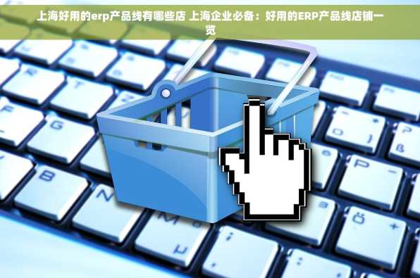 上海好用的erp产品线有哪些店 上海企业必备：好用的ERP产品线店铺一览