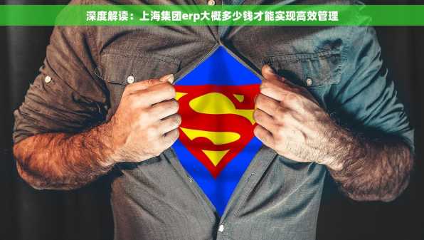 深度解读：上海集团erp大概多少钱才能实现高效管理