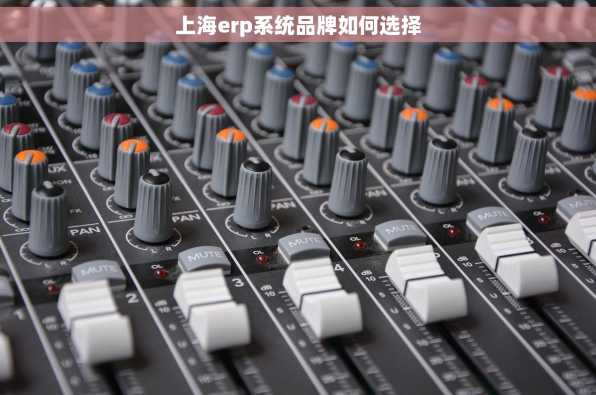 上海erp系统品牌如何选择
