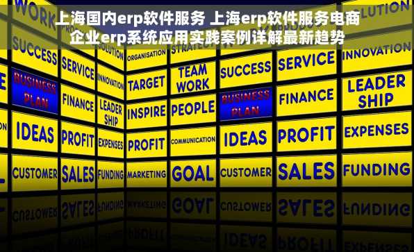 上海国内erp软件服务 上海erp软件服务电商企业erp系统应用实践案例详解最新趋势