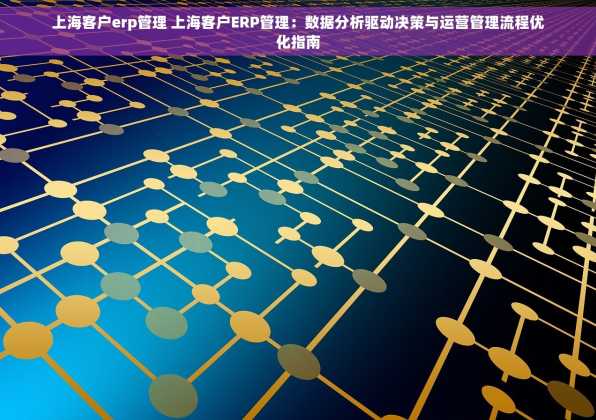 上海客户erp管理 上海客户ERP管理：数据分析驱动决策与运营管理流程优化指南