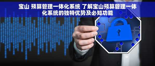 宝山 预算管理一体化系统 了解宝山预算管理一体化系统的独特优势及必知功能