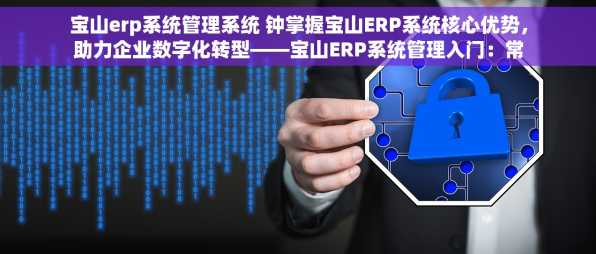 宝山erp系统管理系统 钟掌握宝山ERP系统核心优势，助力企业数字化转型——宝山ERP系统管理入门：常见问题及解决方案
