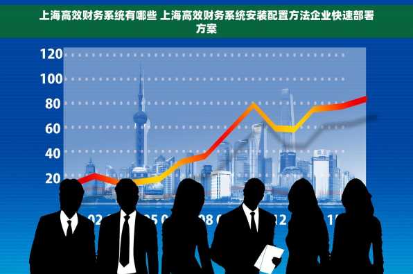 上海高效财务系统有哪些 上海高效财务系统安装配置方法企业快速部署方案