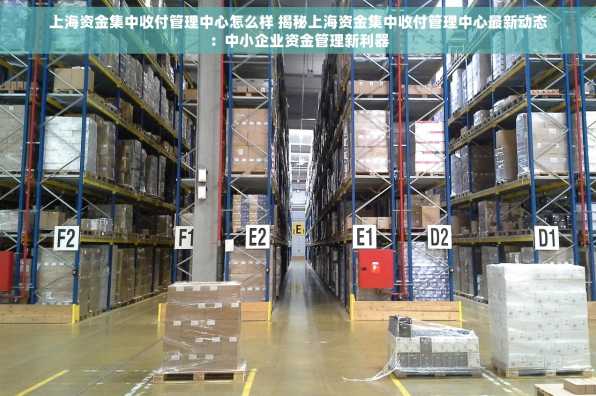 上海资金集中收付管理中心怎么样 揭秘上海资金集中收付管理中心最新动态：中小企业资金管理新利器