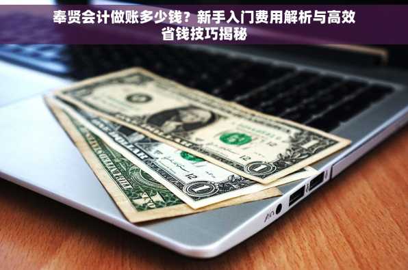奉贤会计做账多少钱？新手入门费用解析与高效省钱技巧揭秘