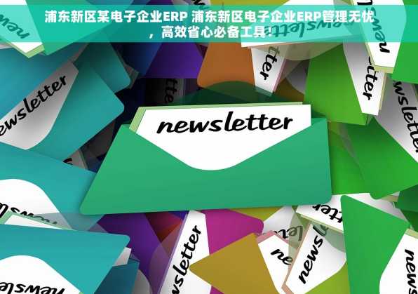 浦东新区某电子企业ERP 浦东新区电子企业ERP管理无忧，高效省心必备工具！