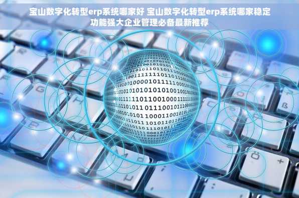 宝山数字化转型erp系统哪家好 宝山数字化转型erp系统哪家稳定功能强大企业管理必备最新推荐
