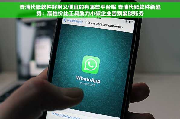 青浦代账软件好用又便宜的有哪些平台呢 青浦代账软件新趋势：高性价比工具助力小微企业告别繁琐账务
