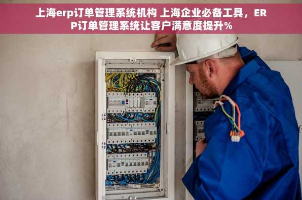 上海erp订单管理系统机构 上海企业必备工具，ERP订单管理系统让客户满意度提升%