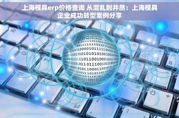 上海模具erp价格查询 从混乱到井然：上海模具企业成功转型案例分享