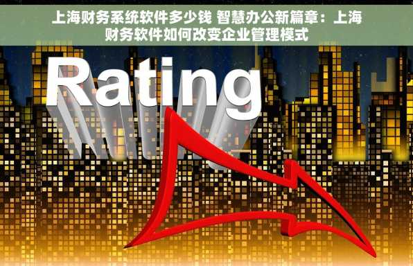 上海财务系统软件多少钱 智慧办公新篇章：上海财务软件如何改变企业管理模式