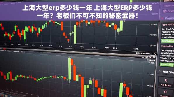 上海大型erp多少钱一年 上海大型ERP多少钱一年？老板们不可不知的秘密武器！