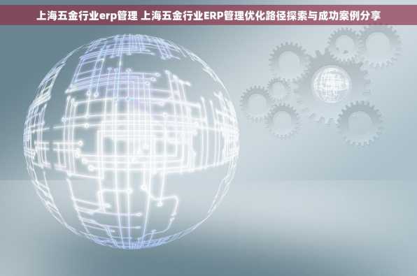 上海五金行业erp管理 上海五金行业ERP管理优化路径探索与成功案例分享