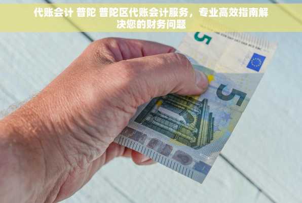 代账会计 普陀 普陀区代账会计服务，专业高效指南解决您的财务问题