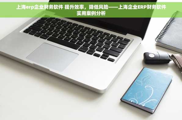 上海erp企业财务软件 提升效率，降低风险——上海企业ERP财务软件实用案例分析