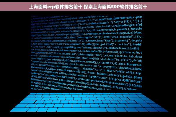上海面料erp软件排名前十 探索上海面料ERP软件排名前十
