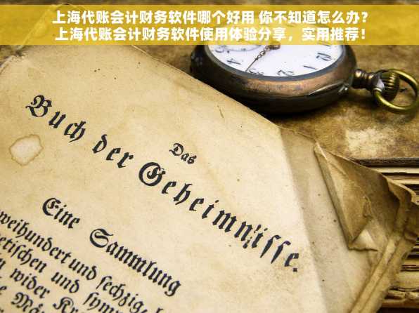 上海代账会计财务软件哪个好用 你不知道怎么办？上海代账会计财务软件使用体验分享，实用推荐！