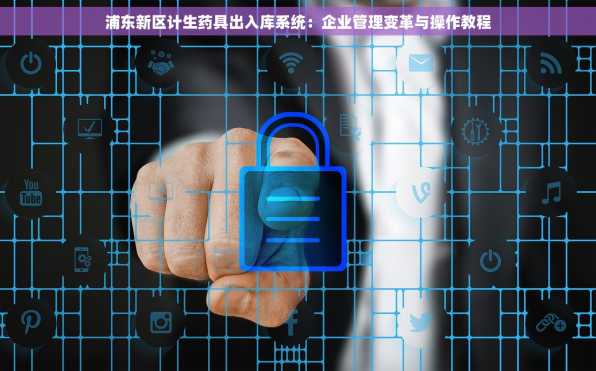 浦东新区计生药具出入库系统：企业管理变革与操作教程