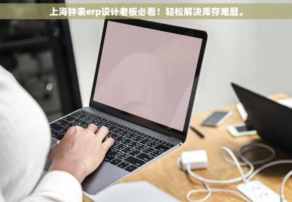 上海钟表erp设计老板必看！轻松解决库存难题。