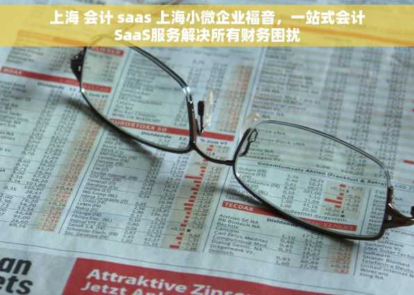 上海 会计 saas 上海小微企业福音，一站式会计SaaS服务解决所有财务困扰