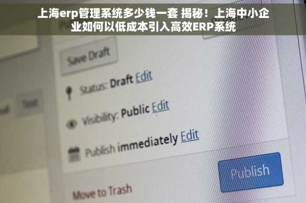 上海erp管理系统多少钱一套 揭秘！上海中小企业如何以低成本引入高效ERP系统