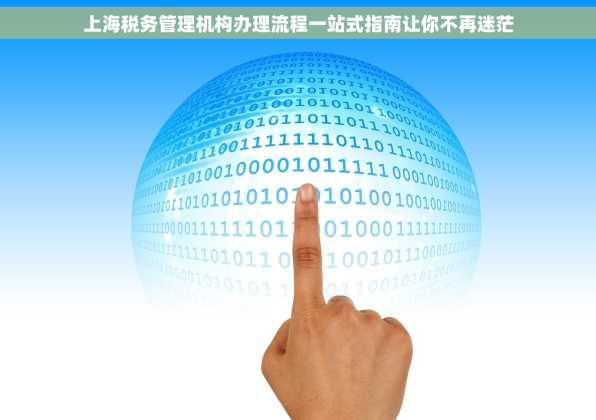上海税务管理机构办理流程一站式指南让你不再迷茫