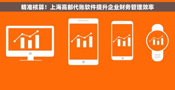 精准核算！上海高邮代账软件提升企业财务管理效率