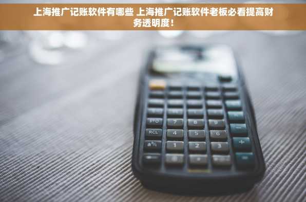 上海推广记账软件有哪些 上海推广记账软件老板必看提高财务透明度！