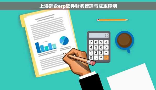 上海鞋企erp软件财务管理与成本控制
