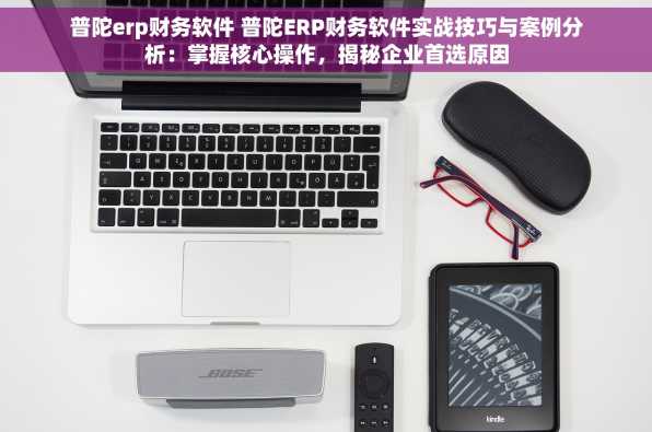 普陀erp财务软件 普陀ERP财务软件实战技巧与案例分析：掌握核心操作，揭秘企业首选原因